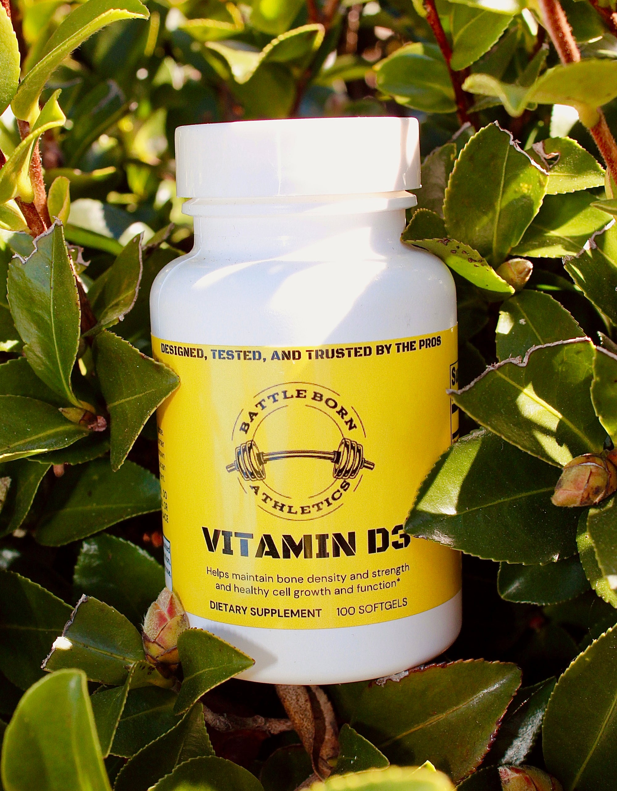 Vitamin D3
