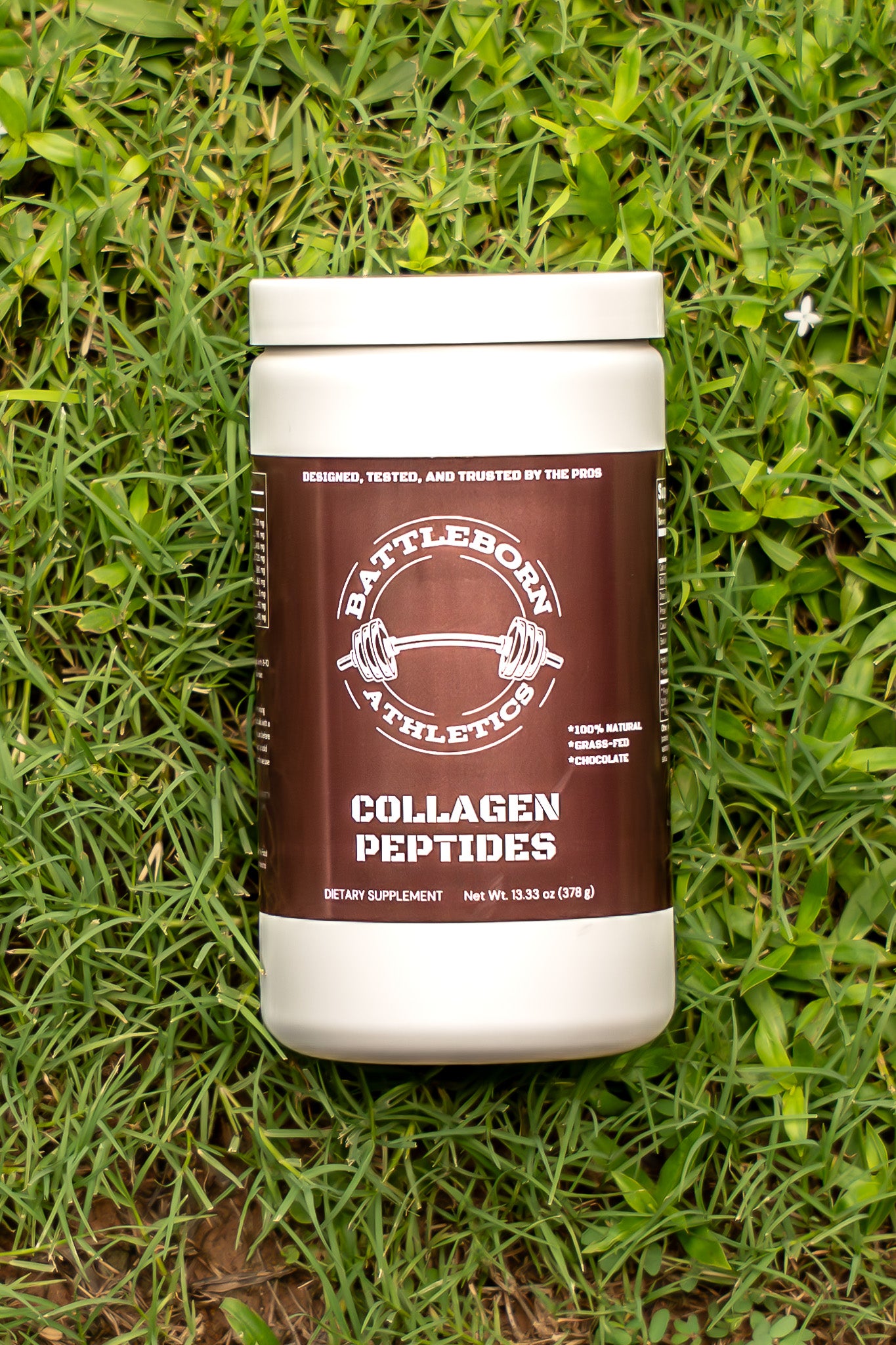 Grass-Fed Collagen Peptides Powder (Chocolate)